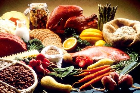 Food Safety Officer